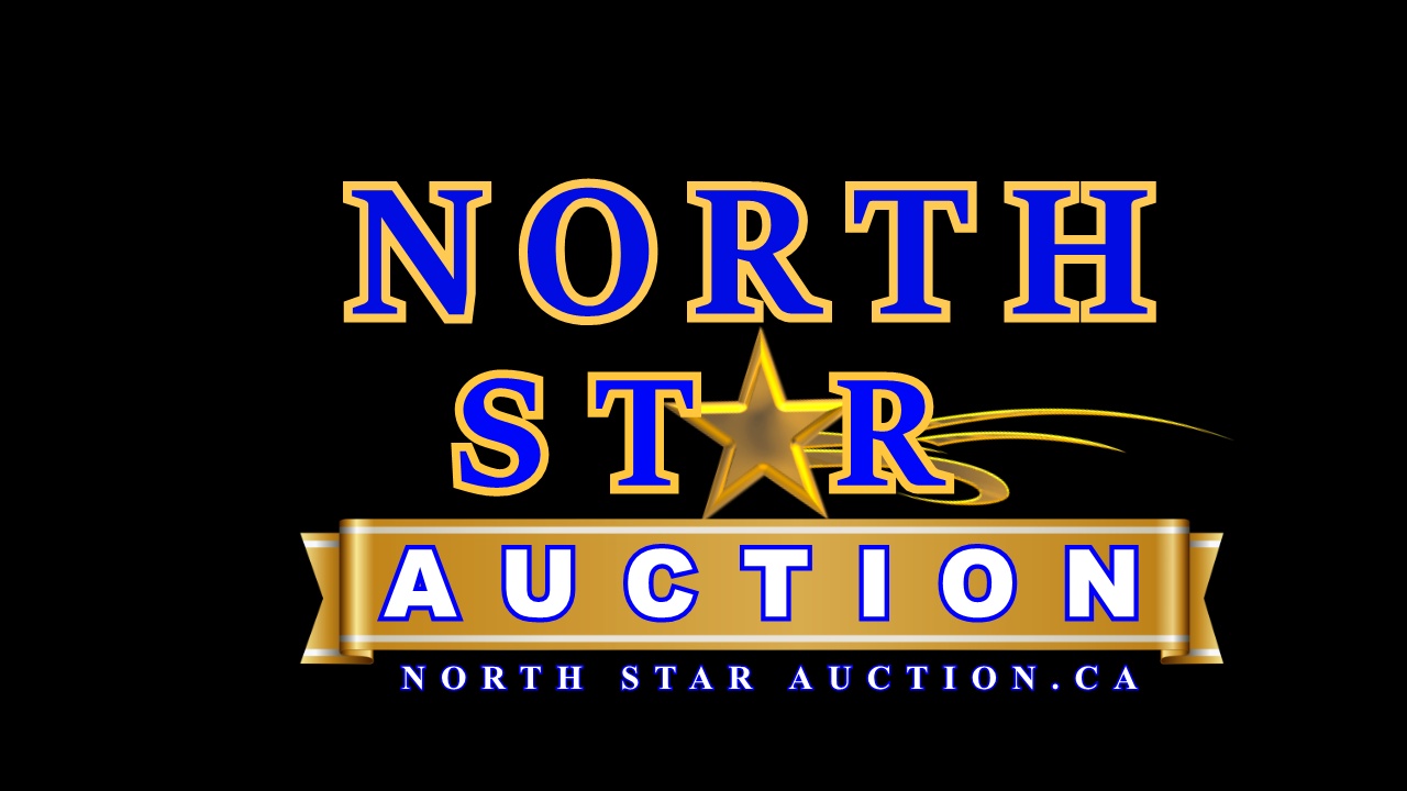 North Star Auction Sample